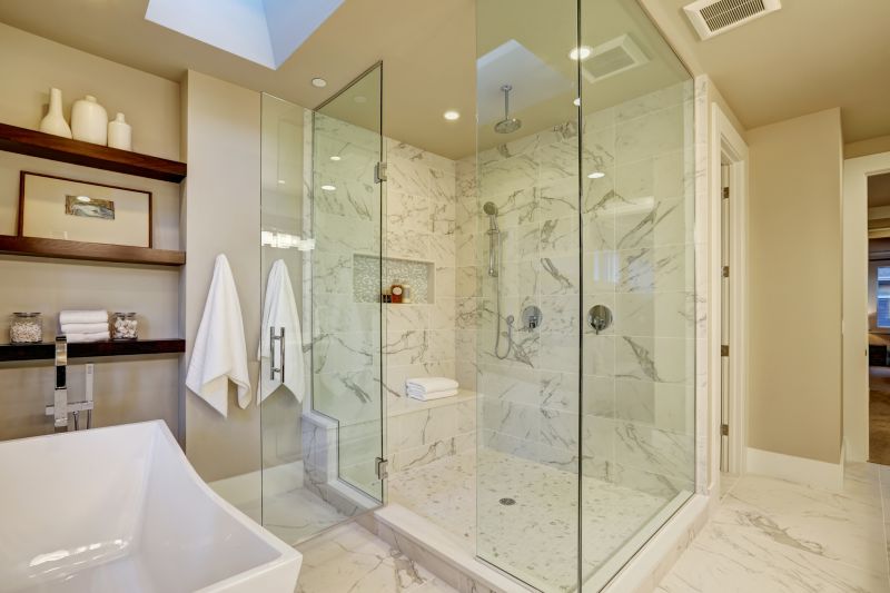 Modern Walk-In Shower with Frameless Glass